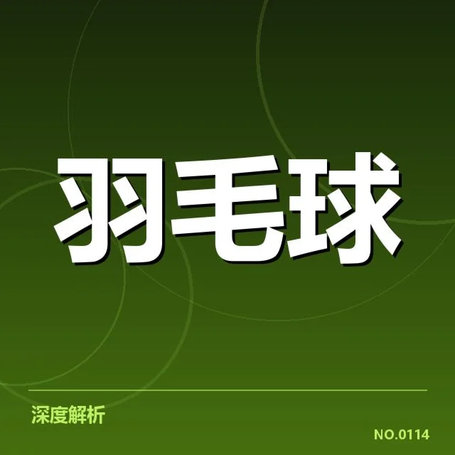 女双战术配合背后,队伍策略布局与选手配合细节揭秘